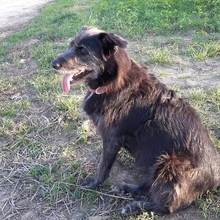 Grosse 20 Km Von Koeln Bis Zu 17 Personen Lägenhet *