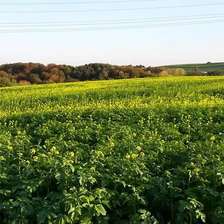 Appartamento Grosse 20 Km Von Koeln Bis Zu 17 Personen