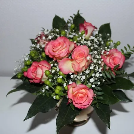 Grosse 20 Km Von Koeln Bis Zu 17 Personen Lägenhet