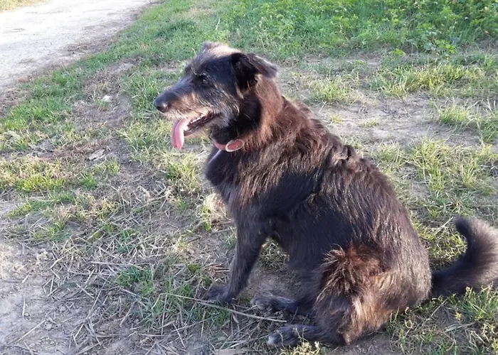 Grosse 20 Km Von Koeln Bis Zu 17 Personen 아파트 *