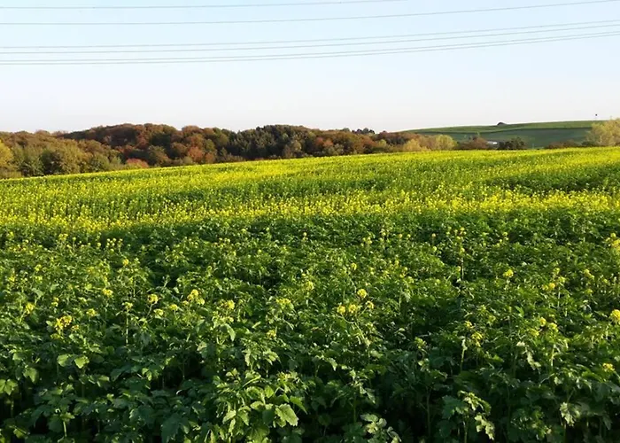 아파트 Grosse 20 Km Von Koeln Bis Zu 17 Personen