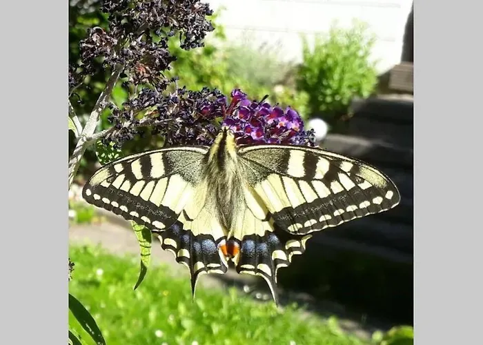 아파트 Grosse 20 Km Von Koeln Bis Zu 17 Personen 로스라스